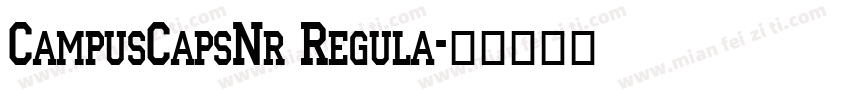CampusCapsNr Regula字体转换